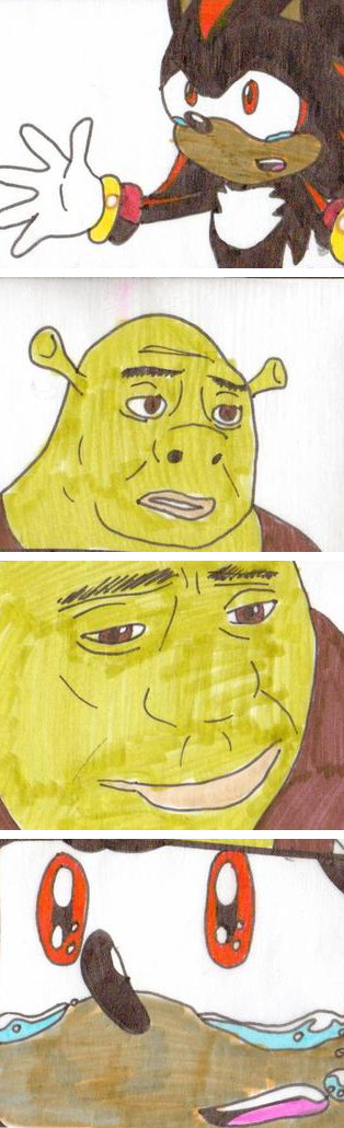 Shadow the Hedgehog looks at shrek, Shrek looks at Shadow the Hedgehog, Shadow the hedgehog looks at Shrek with tears in his eyes.